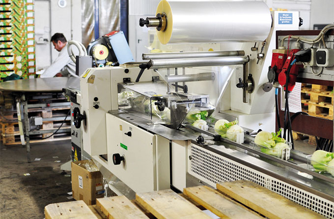 Überwachen der Produktionsvorgänge Begleitung von Produktionen